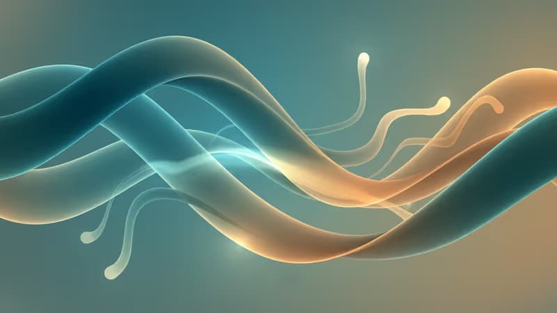 トランプ政権、韓国への関税を25%に引き上げへ